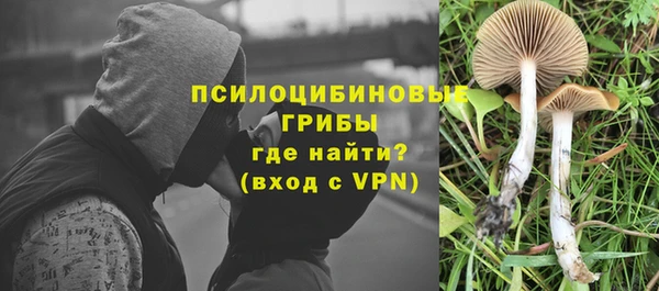 спиды Абаза
