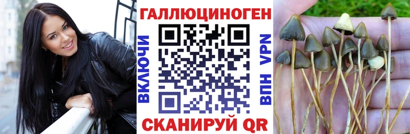 Псилоцибиновые грибы ЛСД  darknet клад  Белгород 