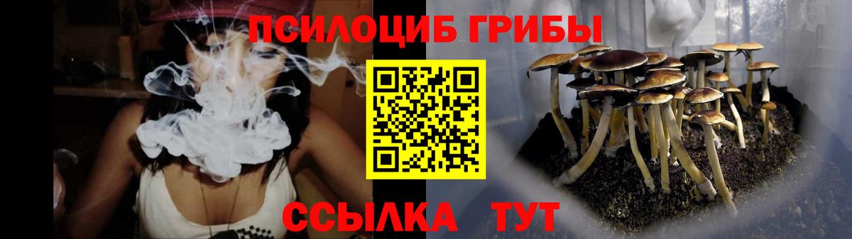Псилоцибиновые грибы мухоморы  Вход с VPN  Псилоцибиновые грибы Cubensis  Белгород 